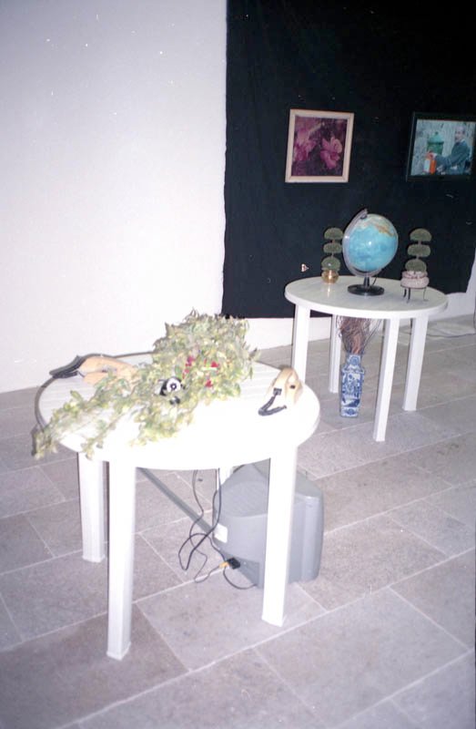 mauro cerqueira, cismadores, marco museum vigo