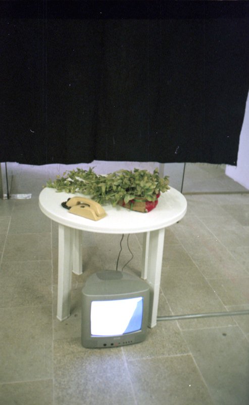 mauro cerqueira, cismadores, marco museum vigo