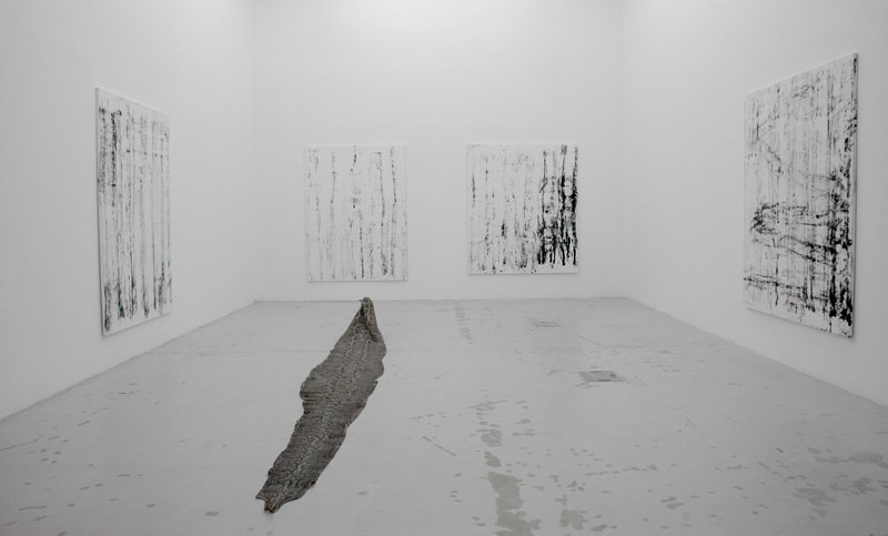 mauro cerqueira, cobra d`água, galeria graça brandão lisboa