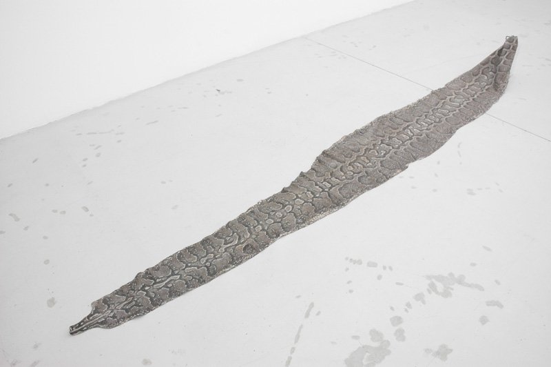 mauro cerqueira, cobra d`água, galeria graça brandão lisboa