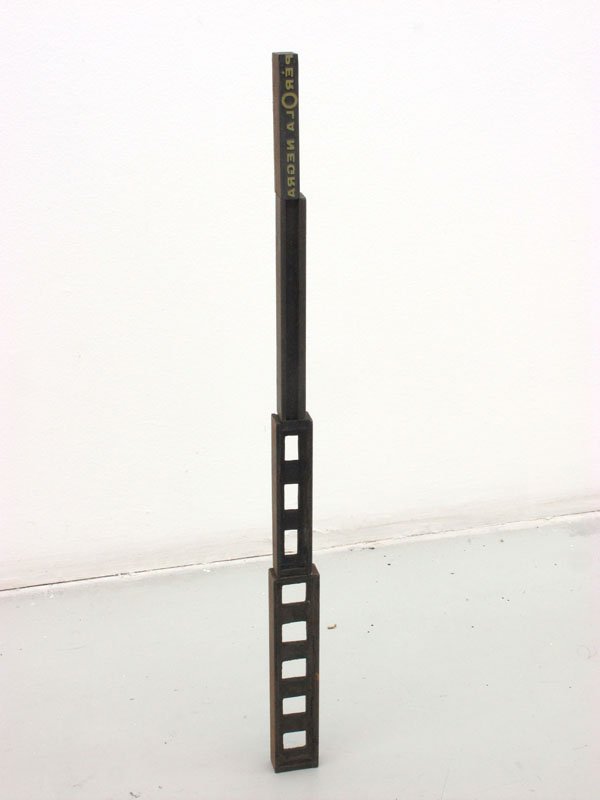 mauro cerqueira, cobra d`água, galeria graça brandão lisboa