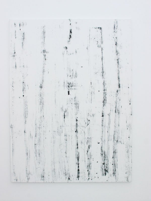 mauro cerqueira, cobra d`água, galeria graça brandão lisboa