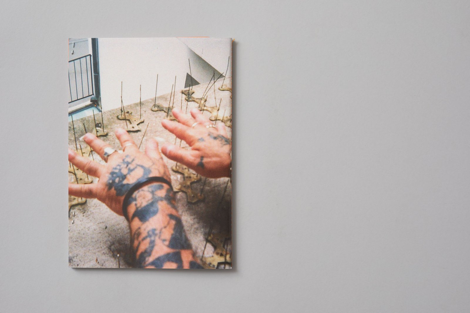 Canções para um Burro Morto